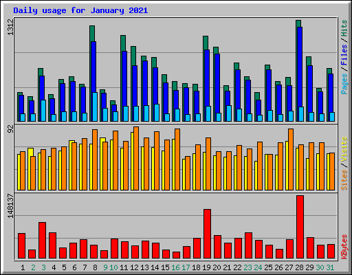 Daily usage for January 2021