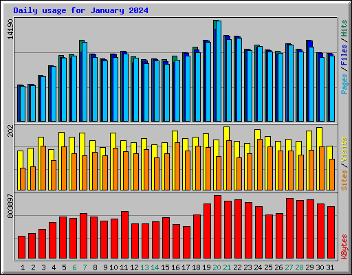 Daily usage for January 2024