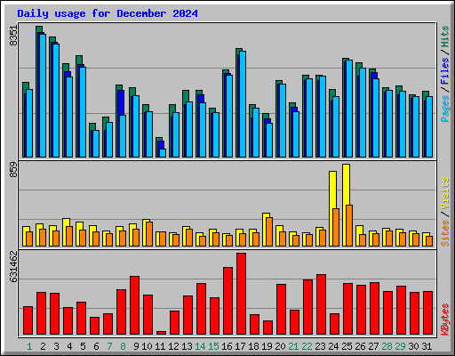 Daily usage for December 2024