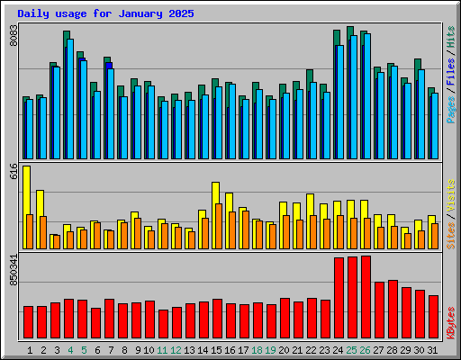 Daily usage for January 2025
