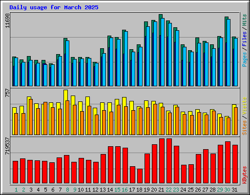 Daily usage for March 2025