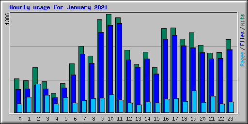 Hourly usage for January 2021