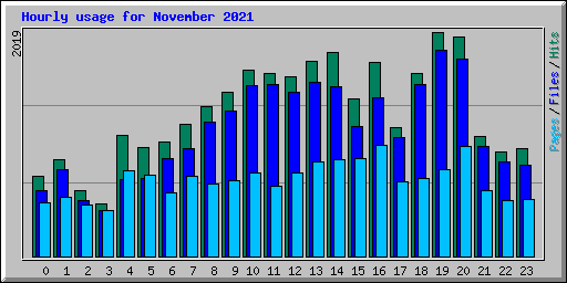 Hourly usage for November 2021