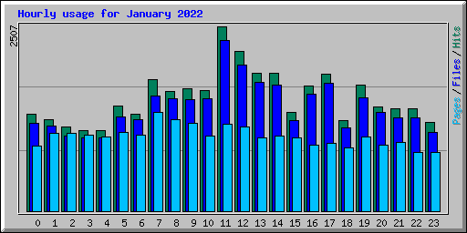 Hourly usage for January 2022