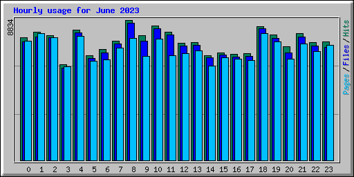 Hourly usage for June 2023