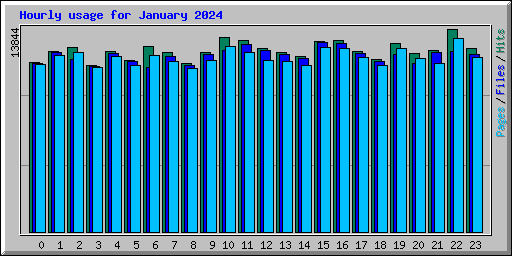 Hourly usage for January 2024