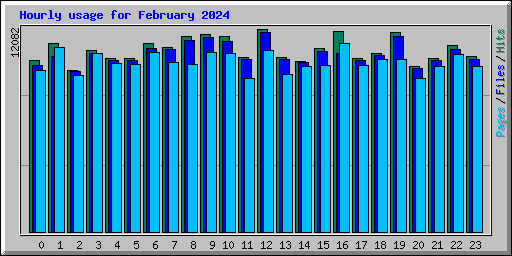 Hourly usage for February 2024