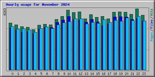 Hourly usage for November 2024