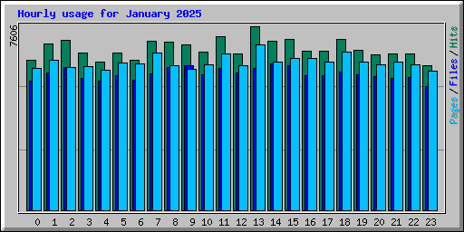 Hourly usage for January 2025