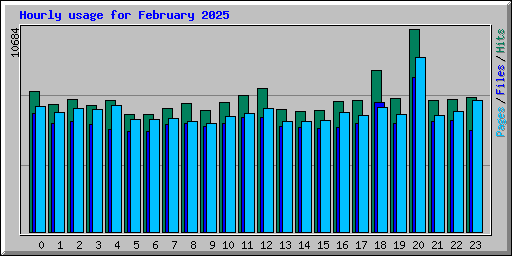 Hourly usage for February 2025