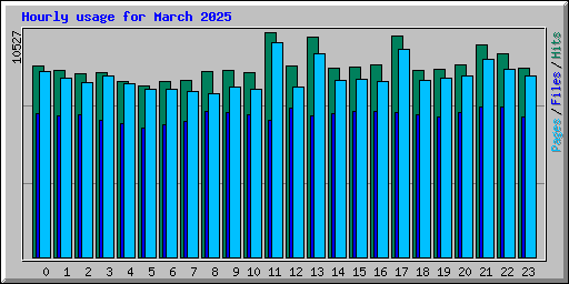 Hourly usage for March 2025