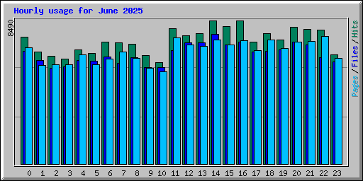 Hourly usage for June 2025