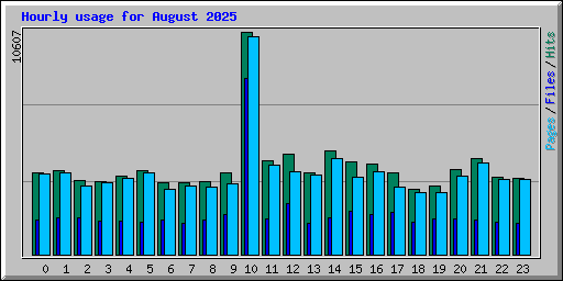 Hourly usage for August 2025