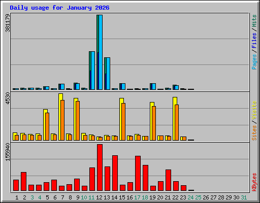 Daily usage for January 2026