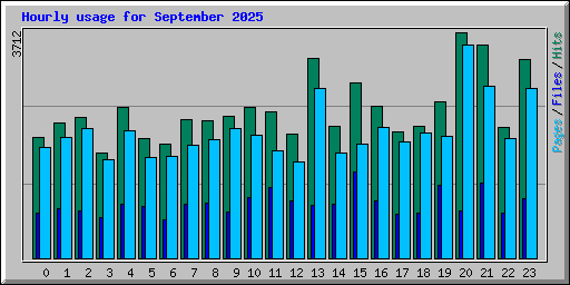 Hourly usage for September 2025