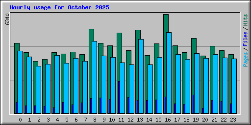 Hourly usage for October 2025