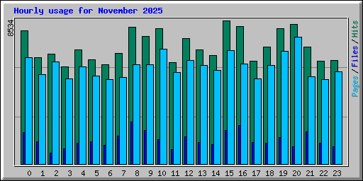 Hourly usage for November 2025