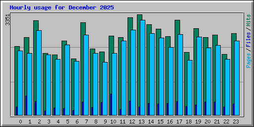 Hourly usage for December 2025