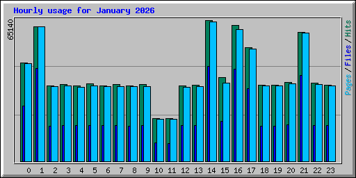 Hourly usage for January 2026
